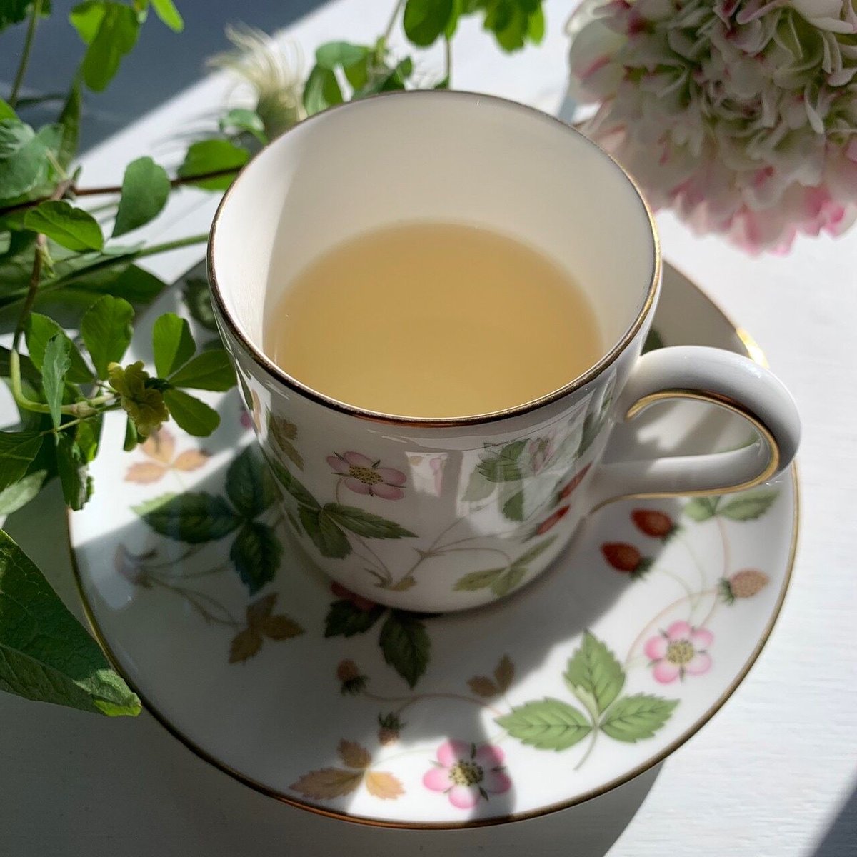 Lemon Mint Herb Tea | 薬剤師が作るハーブティー専門店 Jasper Gr