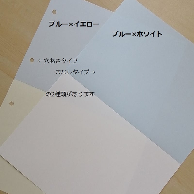 2個口目発送用ページ 伝票用紙に使えます（A4カラー用紙）穴あき2分割2色【200枚