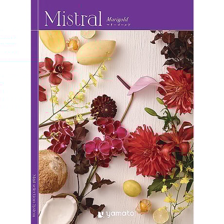CATEGORY MISTRAL（ミストラル） | 贈答品のまつやオンラインショップ