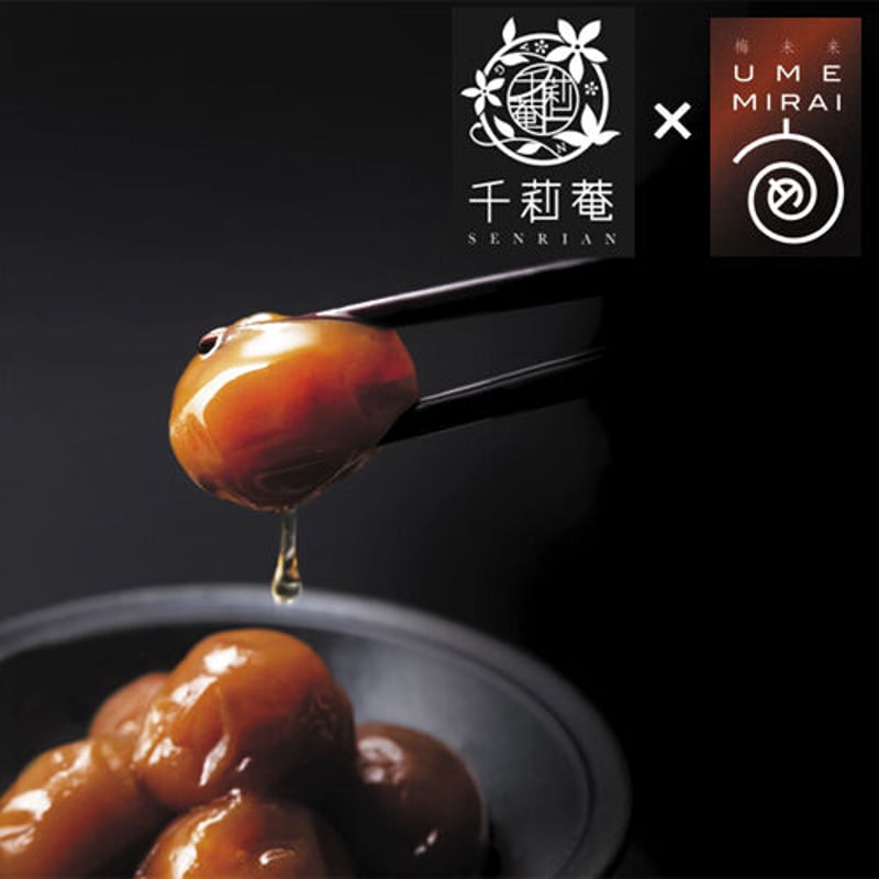 みーきページ 紀州南高梅 4Ｌ5kg 南高梅 キズあり 4Lサイズ以上 5kg｜南高梅の農家直送・青梅通販