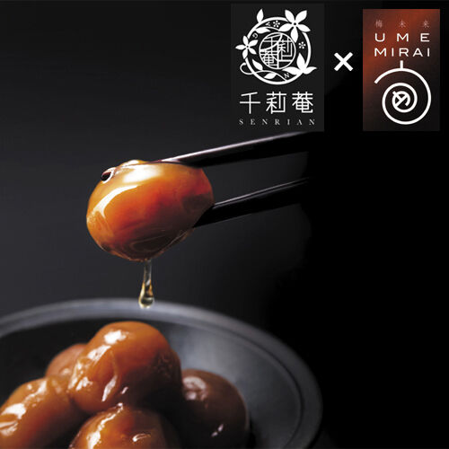 南高梅　UTAI 梅優華｜梅干しの通販 和歌山の南高梅専門店｜熊平の梅