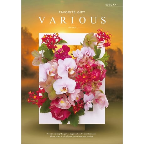 ハーモニック カタログギフト ヴァリアス (VARIOUS) マンチェスター