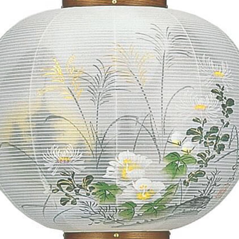 青飛燕と緑飛燕の各4枚田型セット 昭和20年 レアな逸品！美品！ Amazon | ハセガワ 1/48 日本陸軍 川崎 三式戦闘機 飛燕 I型丁