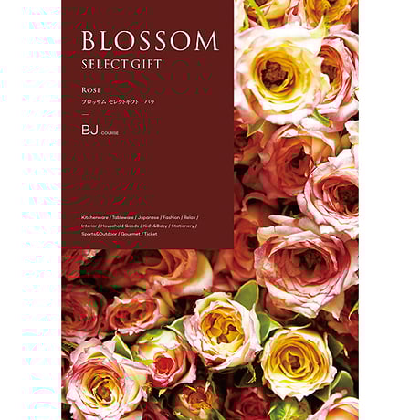 ■■送料無料■美品■BLOSSOM■FLERE SL RC■166cm■WAX■ CATEGORY BLOSSOM（ブロッサム） | 贈答品のまつやオンラインショップ
