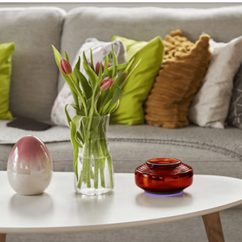 ≪ご予約注文≫アンバー セカンドジェネレーション 《ソマヴェディック