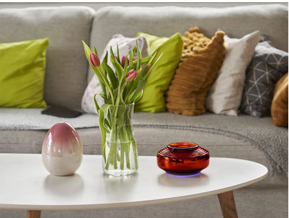 ≪ご予約注文≫アンバー セカンドジェネレーション 《ソマヴェディック