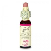 29 スターオブベツレヘム(癒し)［バッチフラワーレメディ］10ml