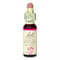 29 スターオブベツレヘム(癒し)［バッチフラワーレメディ］10ml