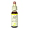 37 ワイルドローズ(情熱)［バッチフラワーレメディ］10ml