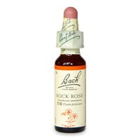 22 オーク(真の強さ)［バッチフラワーレメディ］10ml | BE.naturally SHOP