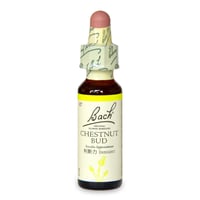 07 チェストナットバット(判断力)［バッチフラワーレメディ］10ml