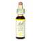13 ゴース(希望)［バッチフラワーレメディ］10ml