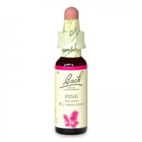 24 パイン(許し)［バッチフラワーレメディ］10ml