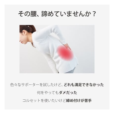 IFMC.バランスガード【メーカー取り寄せ品】