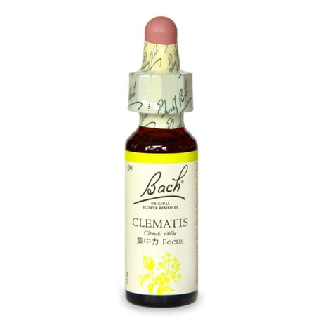 CATEGORY バッチフラワーレメディ | BE.naturally SHOP