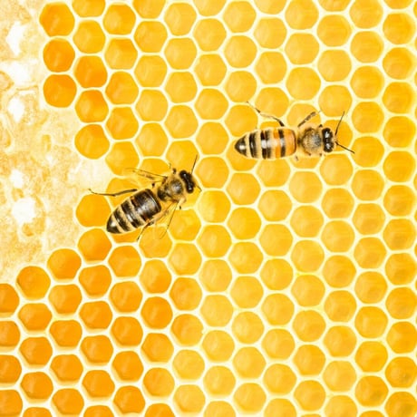 ヒース(HEATH HONEY) 120g【BIO認定/生はちみつ 】