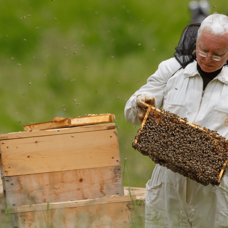 レア【プレイモービル】6818「養蜂家」 beekeeping 2016 レア【プレイ