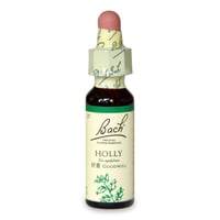 15 ホリー(好意)［バッチフラワーレメディ］10ml