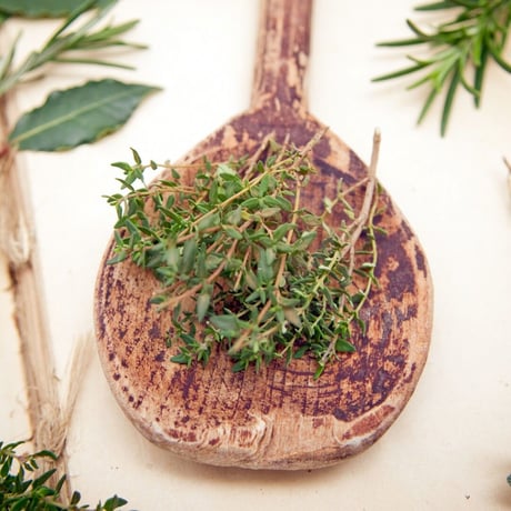 タイム(THYME HONEY) 120g【BIO認定/生はちみつ 】