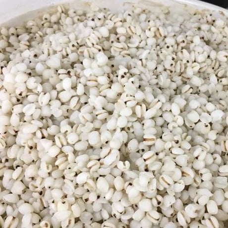 国産はとむぎ粒
