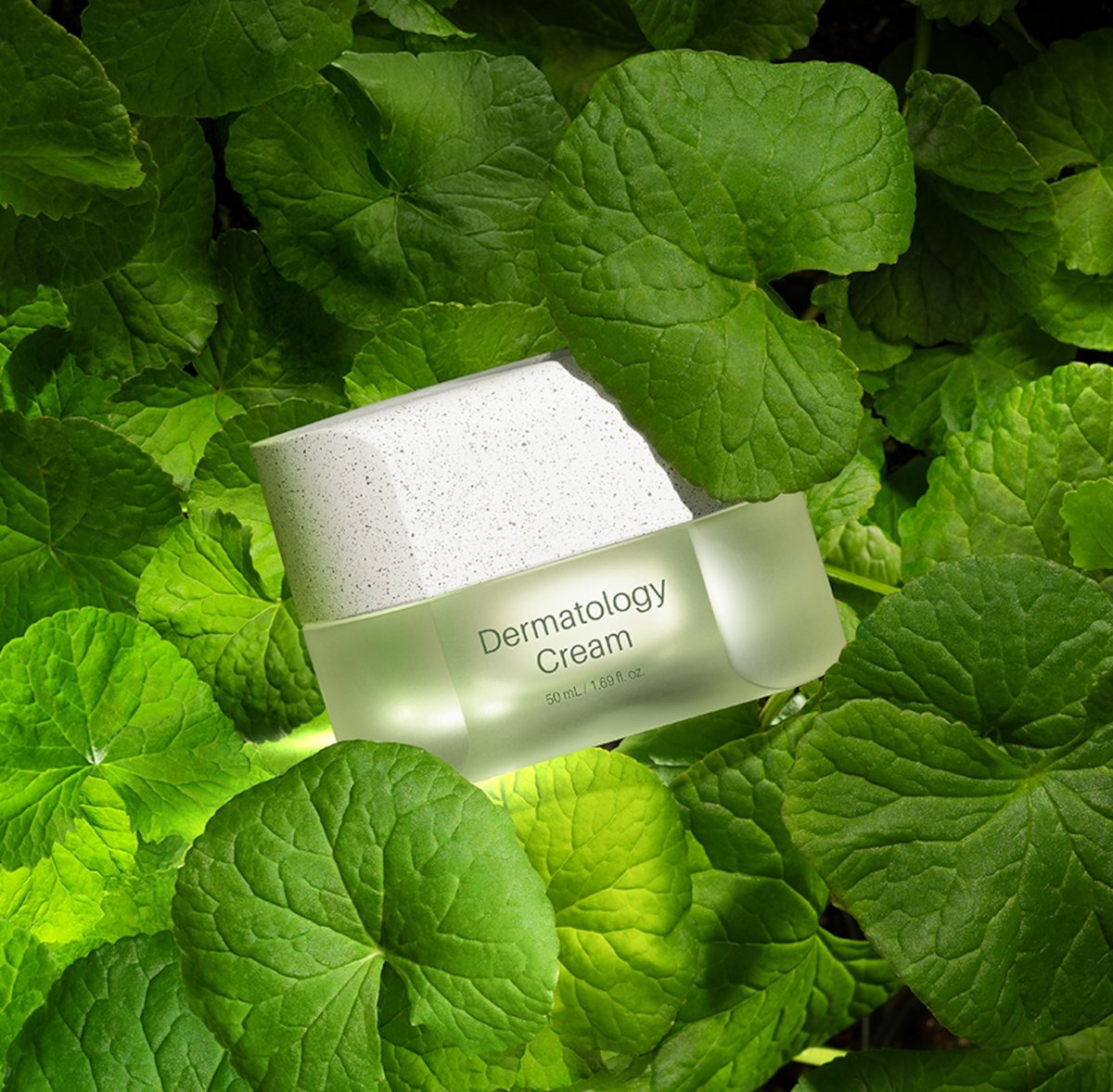 インセルダム　dermatology cream Dermatology Cream | HAKU in Tokyo