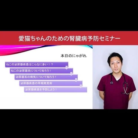 愛猫ちゃんの健康長寿のための「予防学」講座 【腎臓病編】