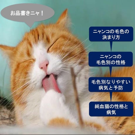 猫の「毛色別の性格＆なりやすい病気」講座