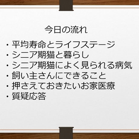 愛猫ちゃんの「健康寿命のためのシニアネコ」講座