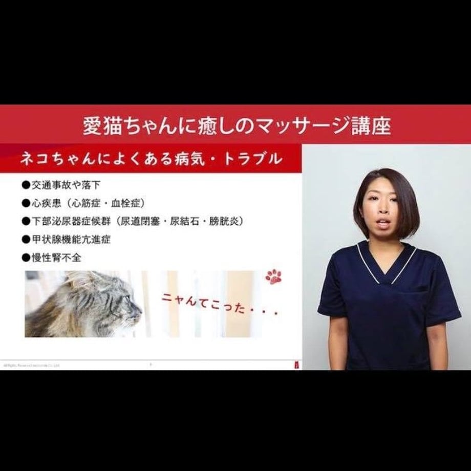 609e40659a5b755292c0042e