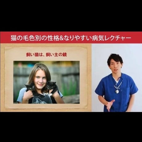 猫の「毛色別の性格＆なりやすい病気」講座
