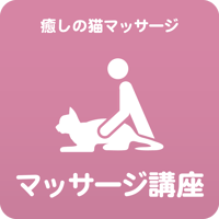 愛猫ちゃんに「癒しのマッサージ」講座