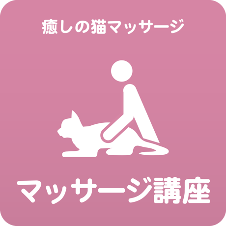 愛猫ちゃんに「癒しのマッサージ」講座