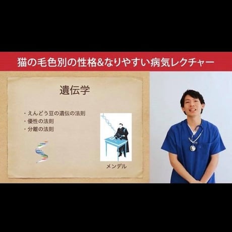 猫の「毛色別の性格＆なりやすい病気」講座