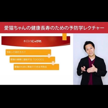 愛猫ちゃんの健康長寿のための「予防学」講座 【入門編】