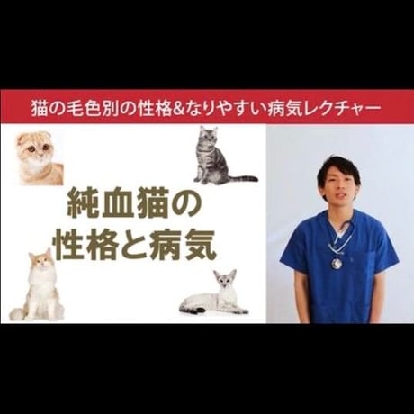 猫の「毛色別の性格＆なりやすい病気」講座