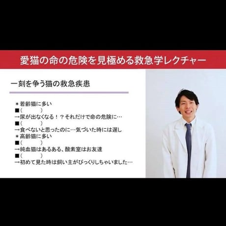 愛猫ちゃんの命の危険を見極めるための「救急学」講座