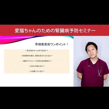 愛猫ちゃんの健康長寿のための「予防学」講座 【腎臓病編】