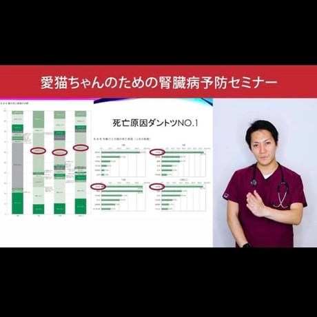 愛猫ちゃんの健康長寿のための「予防学」講座 【腎臓病編】