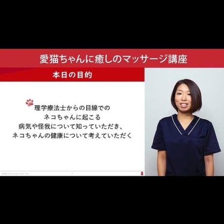 愛猫ちゃんに「癒しのマッサージ」講座