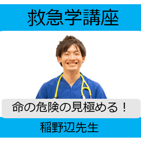 愛猫ちゃんの命の危険を見極めるための「救急学」講座