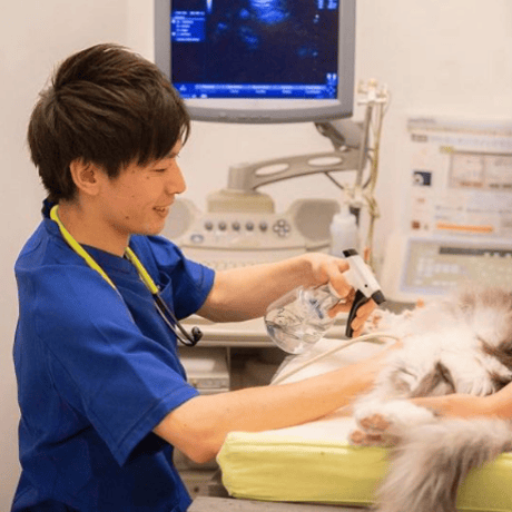愛猫ちゃんの命の危険を見極めるための「救急学」講座
