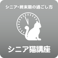 愛猫ちゃんの「健康寿命のためのシニアネコ」講座