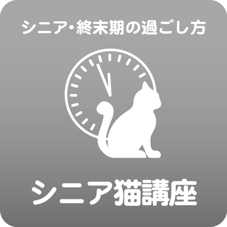 愛猫ちゃんの「健康寿命のためのシニアネコ」講座