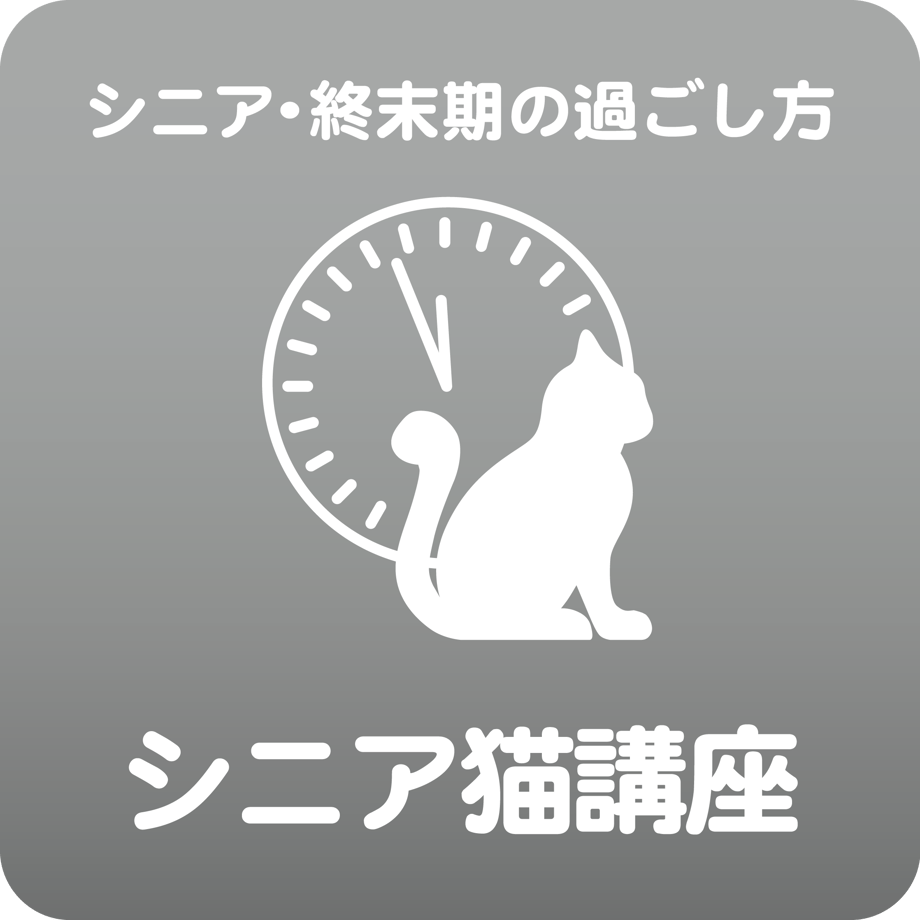 609e40169a5b751d21c008af