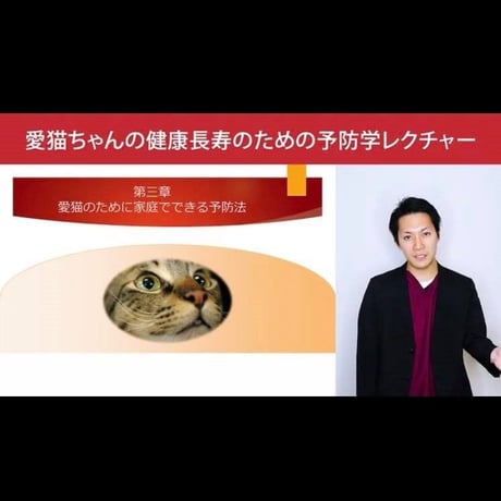 愛猫ちゃんの健康長寿のための「予防学」講座 【入門編】