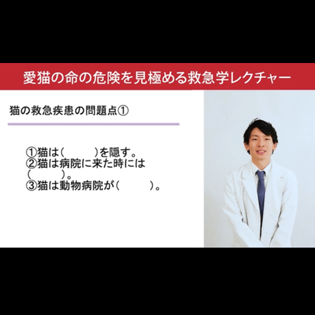愛猫ちゃんの命の危険を見極めるための「救急学」講座