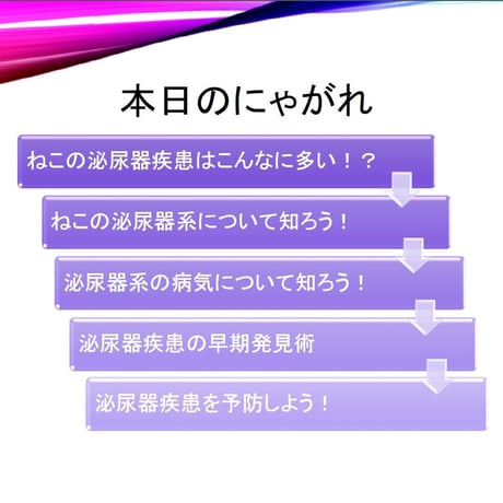 愛猫ちゃんの健康長寿のための「予防学」講座 【腎臓病編】