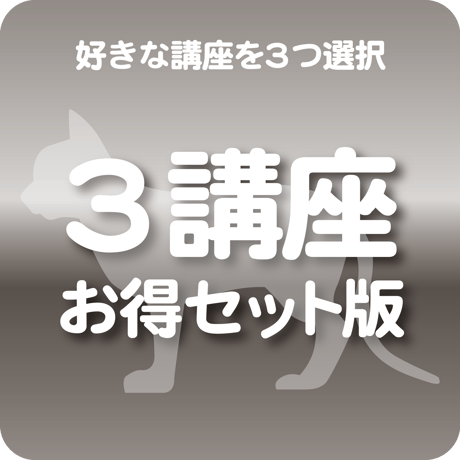 ３講座お得セット版（好きな講座を３つ選択）