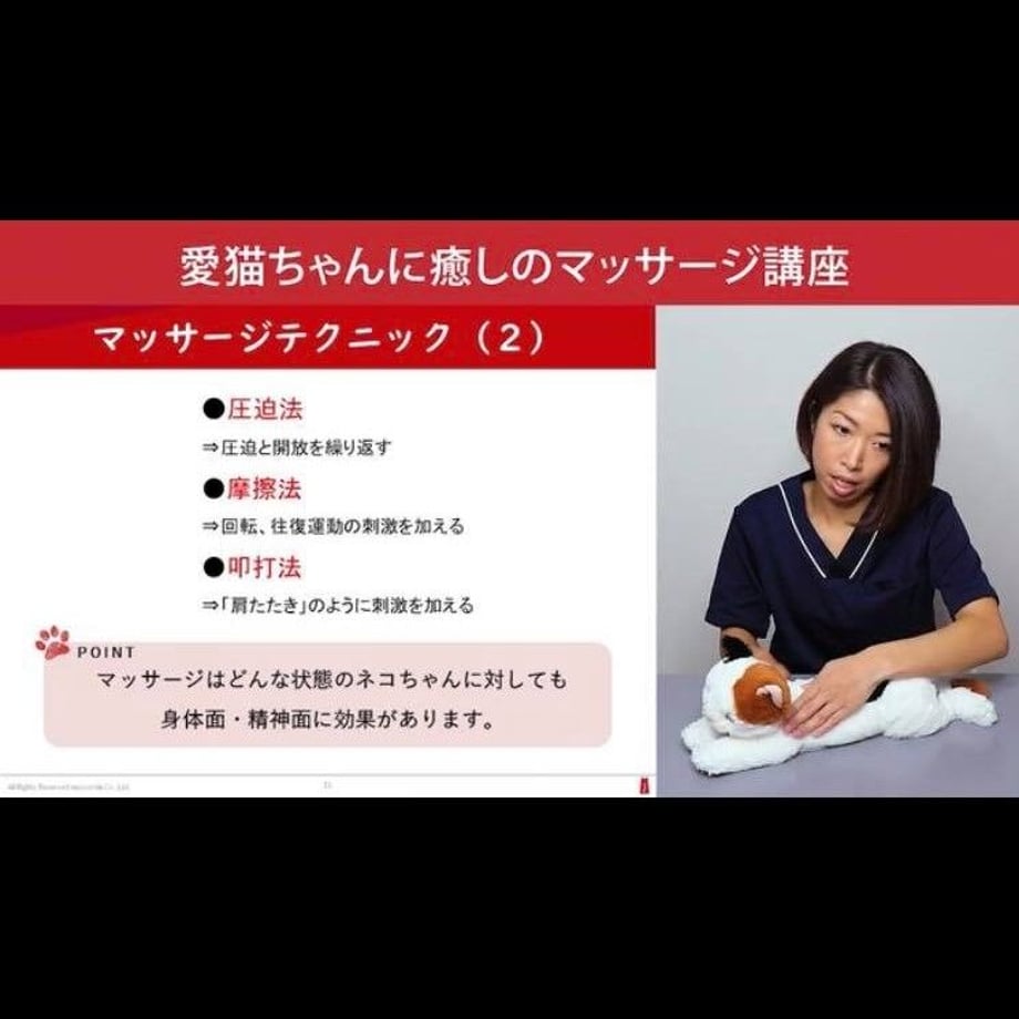 609e40659a5b755292c0042e