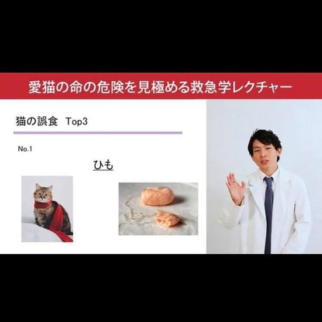 愛猫ちゃんの命の危険を見極めるための「救急学」講座